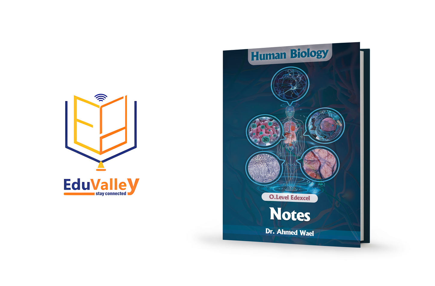 Edexcel O.L Human Biology Notes | Dr. Ahmed Wael 2026-2027