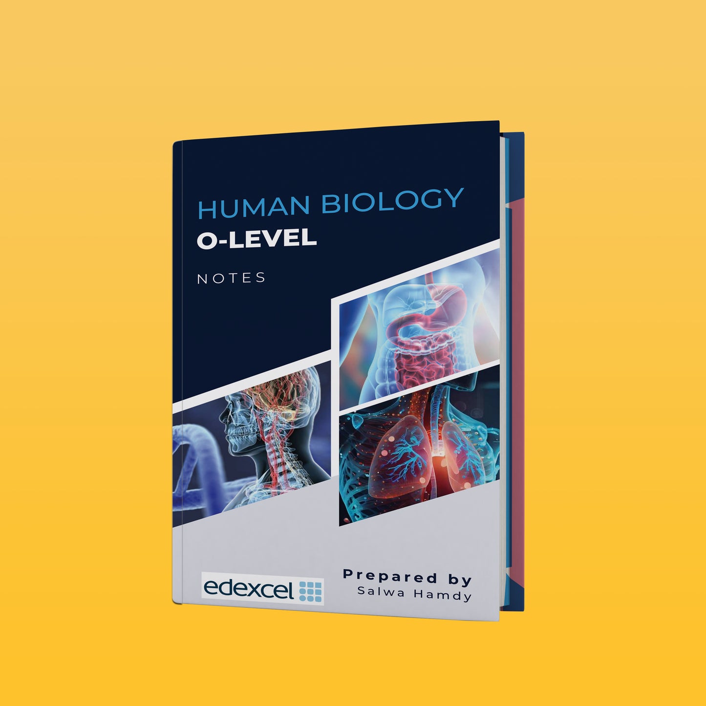 ملاحظات حول مادة علم الأحياء البشري Edexcel OL (4HB1) بقلم سلوى حمدي