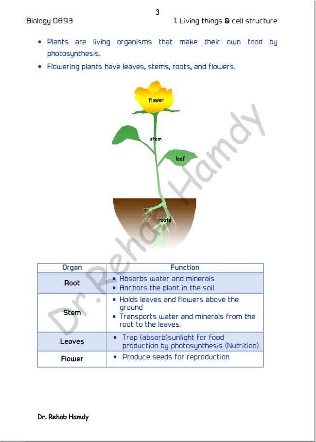 Cambridge Checkpoint 2 Year 8 Science (0893) Notes Biology Rehab Hamdy ( Science Gems)