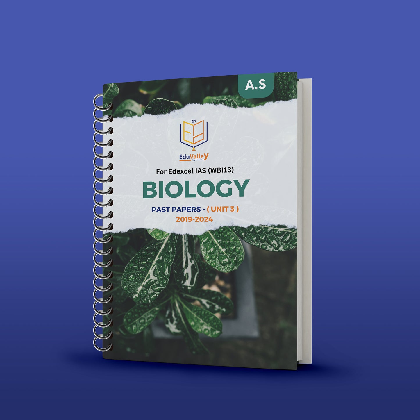 Edexcel AS Biology PP (WBI13) الوحدة: 3 من 19 إلى 24