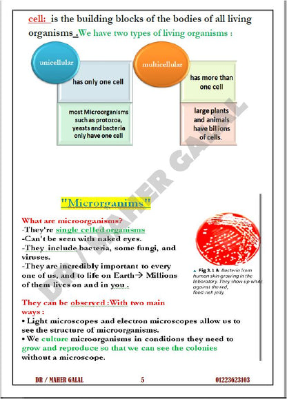 Cambridge Checkpoint 2 Year 7 Science (0893) Revision Work sheets Maher Galal
