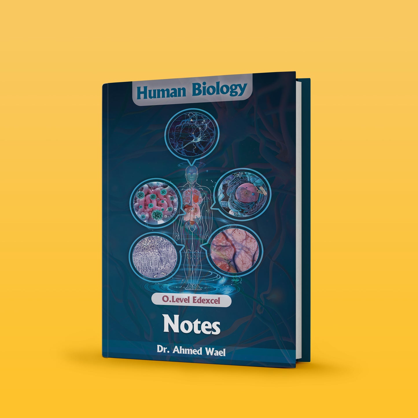 ملاحظات Edexcel OL Human Biology (4HB1) أحمد وائل