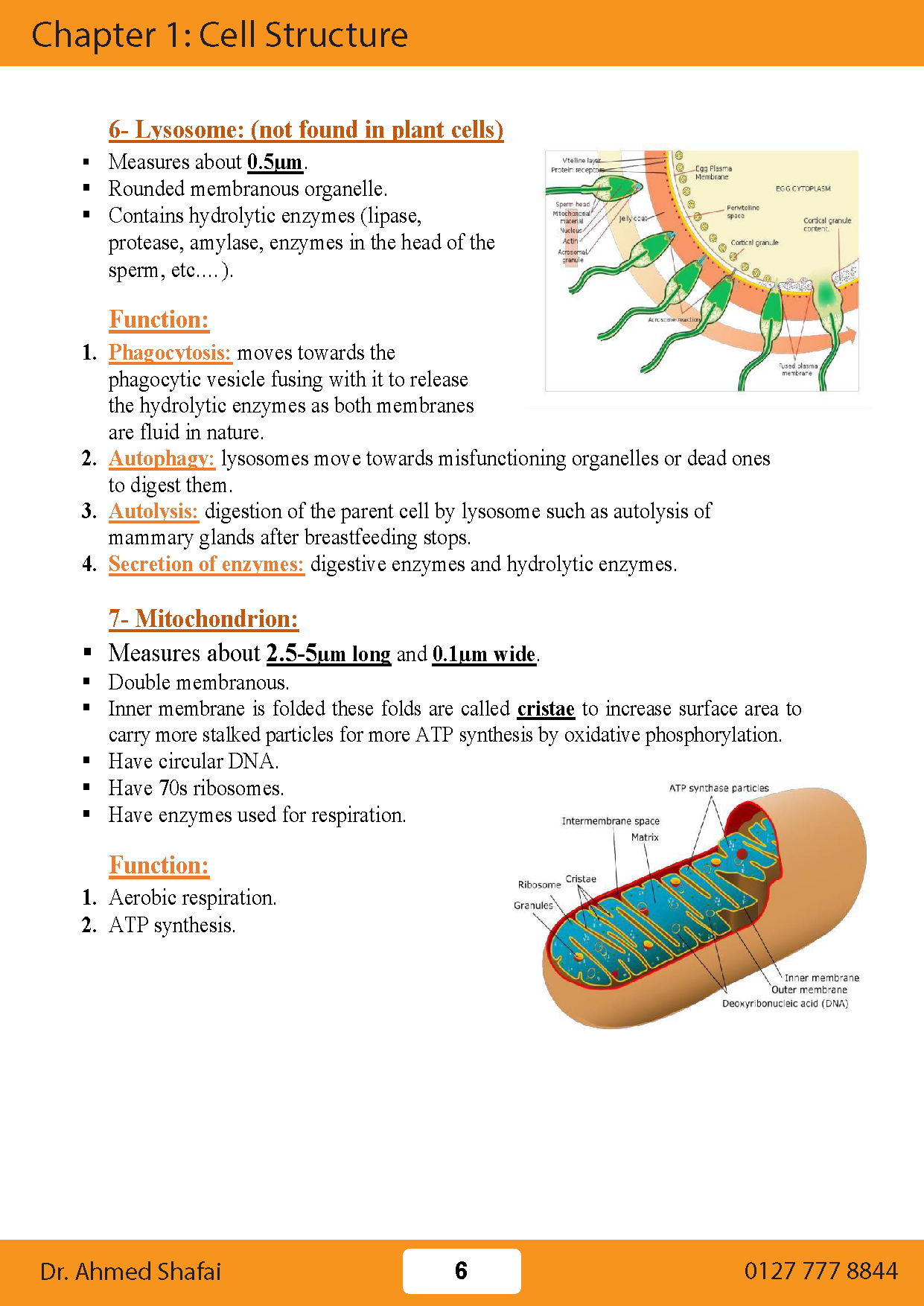Cambridge A.S Biology (9700) Package, Notes,Classified,Past Papers Ahmed Shafai ( 2025 )