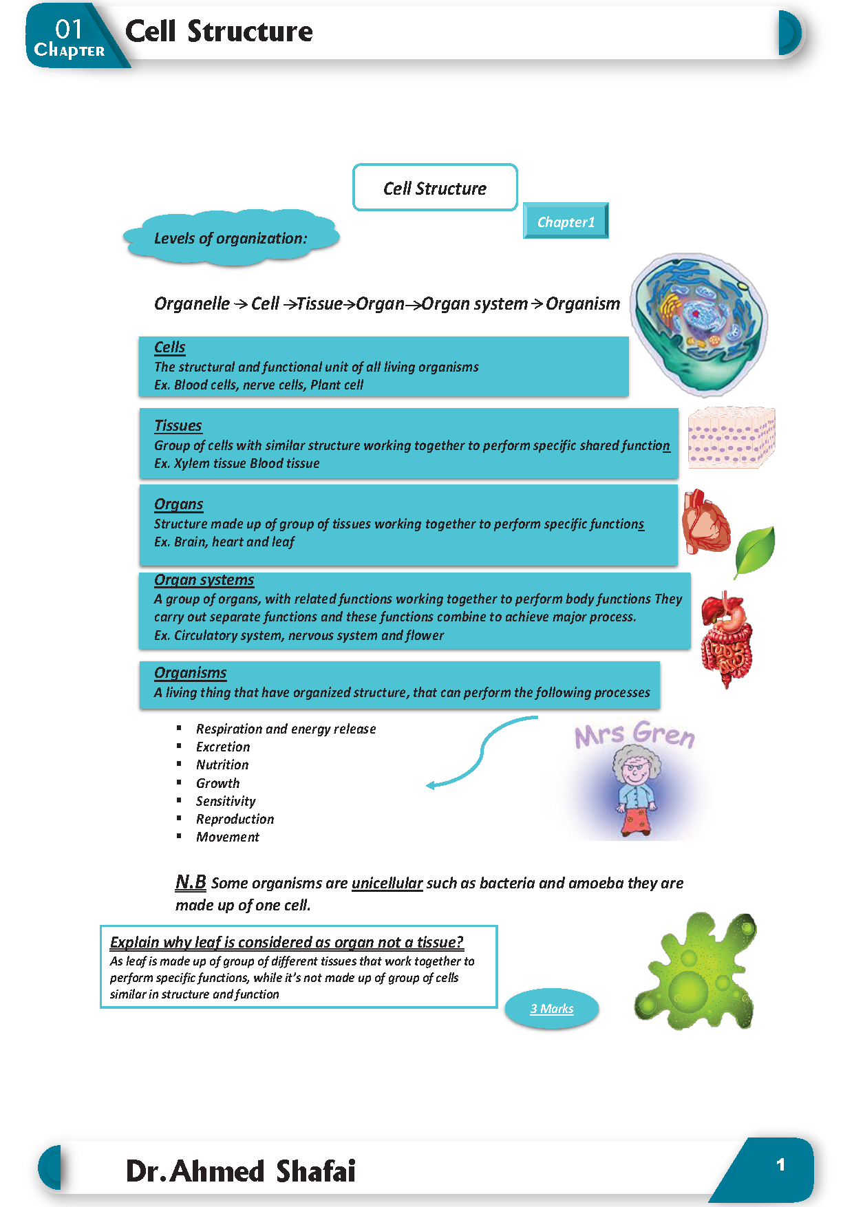 Cambridge O.L Biology (0610/0970) Package Notes, Classified, P.P With Qr.MS Ahmed Shafai 2026