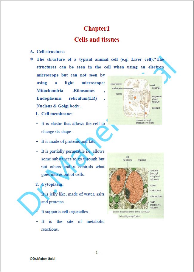 ملاحظات Edexcel OL Human Biology (4HB1) ماهر جلال