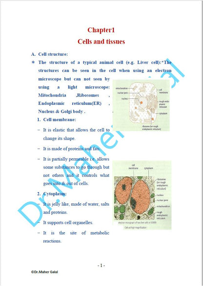 ملاحظات Edexcel OL Human Biology (4HB1) ماهر جلال